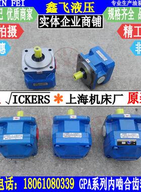 GPA2-10-E-20-R6.3 16 6 ICKERS内啮合齿轮油泵威格士 上海机床厂