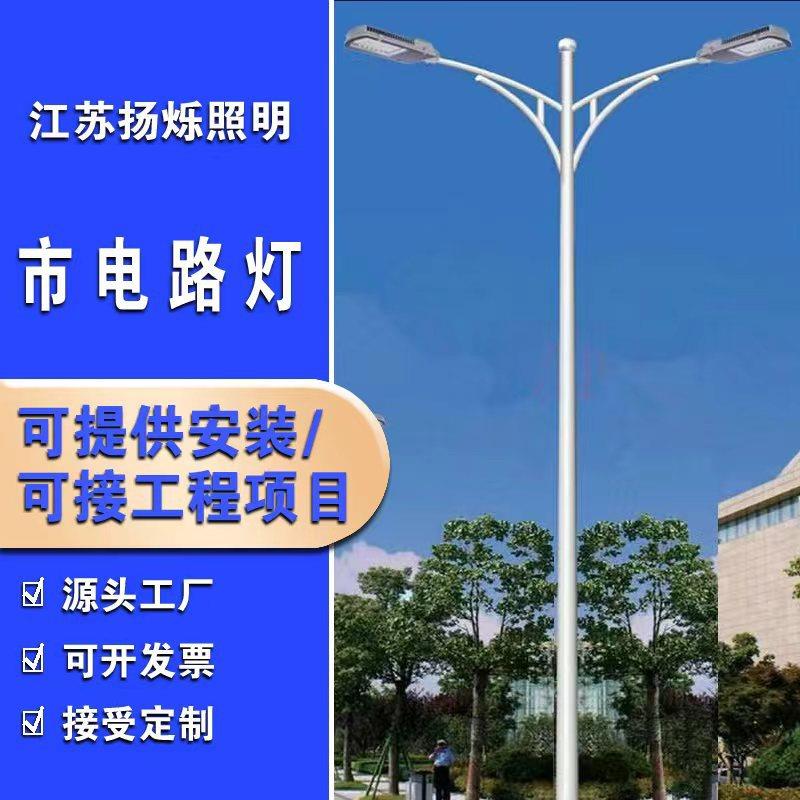 源头厂家定制led市电路灯8米0米双臂道路照明城市亮化工程路灯
