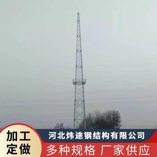 高层建筑避雷塔角钢避雷塔避雷针避雷塔钢结构避雷塔厂家供应