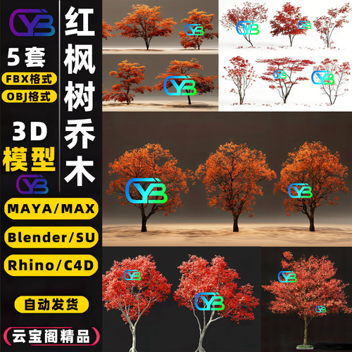 红枫树梧桐鸡爪槭树乔木3D模型