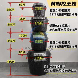 黄脚胡蜂控王笼大中小号齐全 葫芦蜂防逃王笼 马蜂野化放养防上树