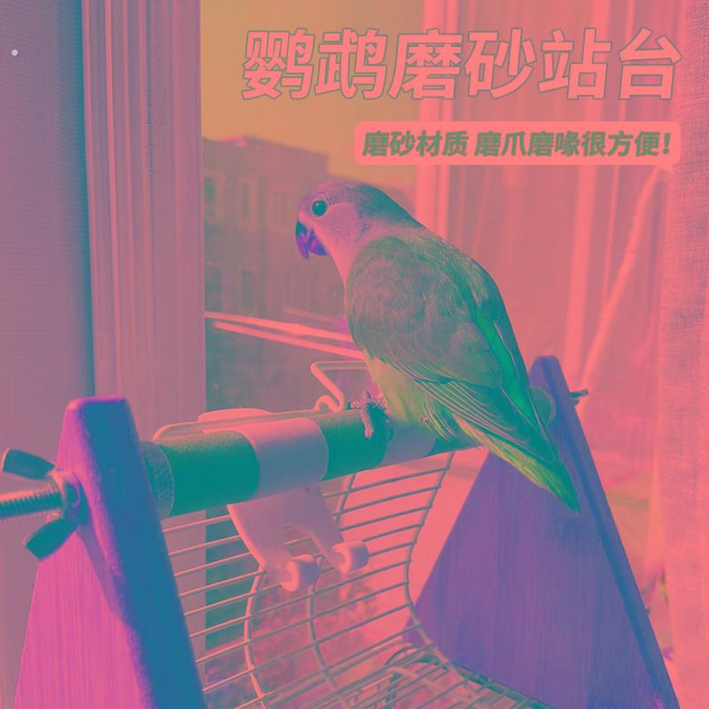 鹦鹉桌面架子鸟站架落地玄风鹦鹉专用站架训练站架磨爪棒磨砂站台
