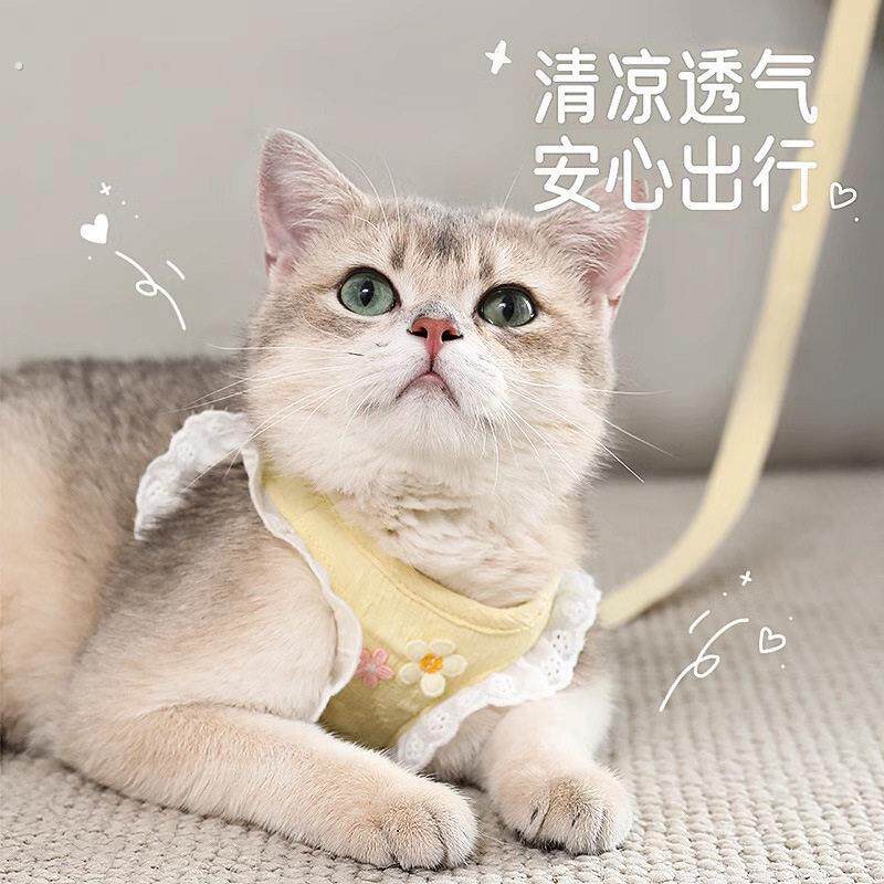 猫咪牵引绳防挣脱外出溜猫背心式胸背带小型犬狗狗防跑遛猫绳
