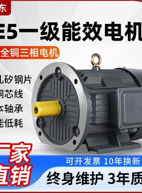 YE5三相异步电动机380V全铜2.2/4/7.5/11/22/185W千瓦一级能效
