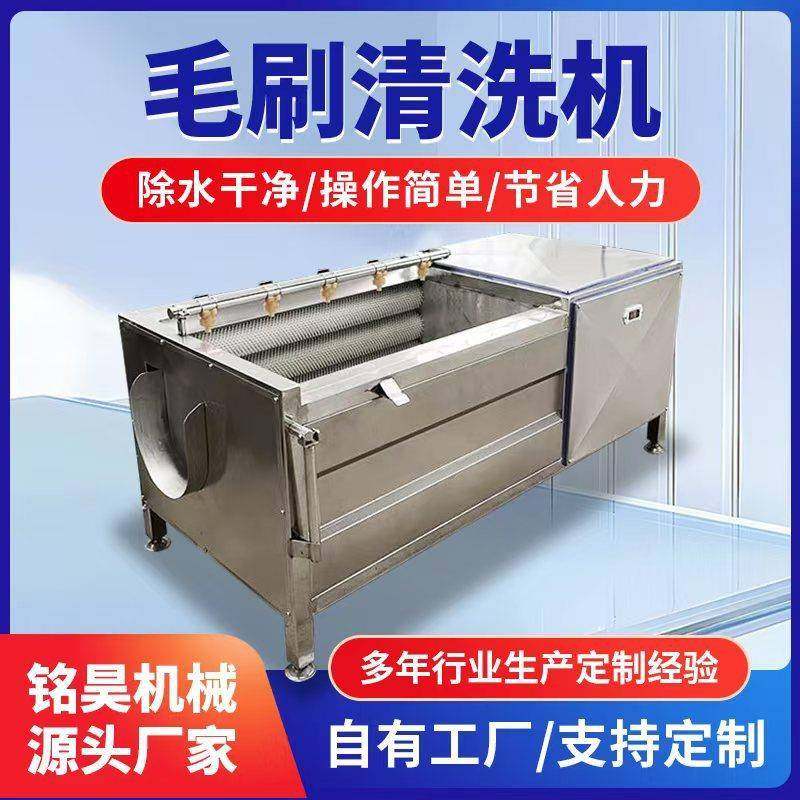 全自动毛刷清洗机田螺小龙虾海鲜毛辊清洗机农作物清洗设备厂家,清洗/食品/商业设备,果蔬加工设备,淘宝优惠券,粉丝福利购,淘宝优惠卷