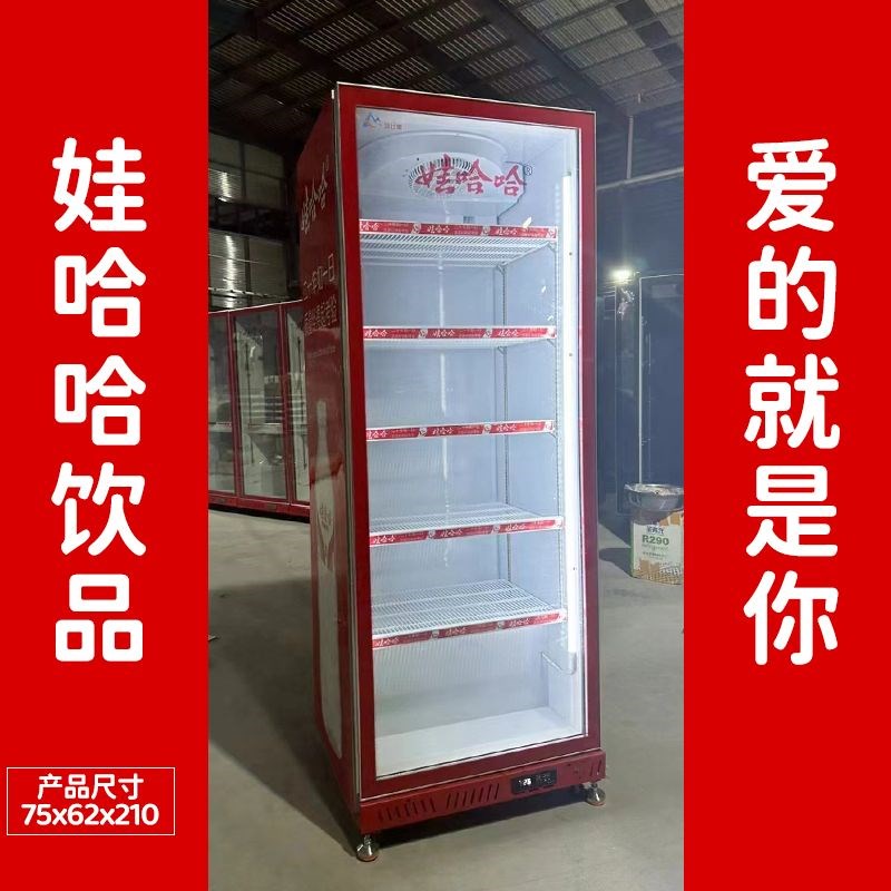 娃哈哈饮料柜保鲜柜冰柜立式冰柜商用展示柜饮料冷藏冷柜冷藏