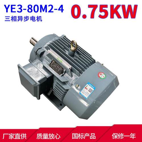 YE3系列三相异步电动机YE3-80M2-40.75W4极三相异步电机马达