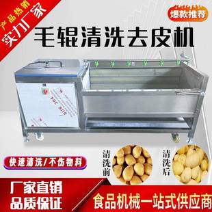 大型毛辊清洗机手剥笋春笋鲜毛笋洗姜机毛刷清洗机
