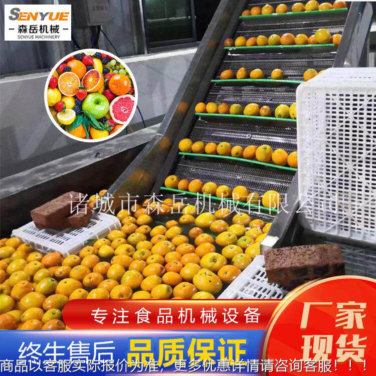 车子厘气鼓泡清洗机草莓杏子VRF泡式加洗果机水果工厂洗果机设备