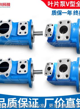 威格士叶片泵20V/25V/45V/3520V/3525V/4525V/4535V替VICKERS油泵