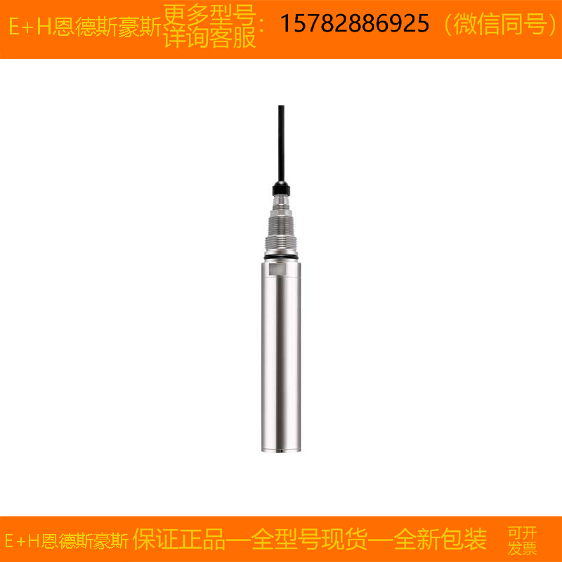 【现货】E+H/恩德斯豪斯 CUS51D-1009/0=CUS51D-AAD1A3 原装正品