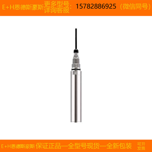 【现货】E+H/恩德斯豪斯 CUS51D-1009/0=CUS51D-AAD1A3 原装正品