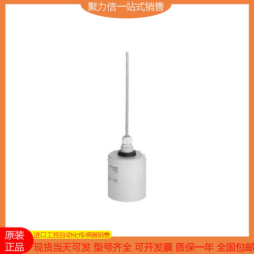 【现货】E+H/恩德斯豪斯 FDU91-RG1AA FDU91-RG2AA FDU92-RG2A