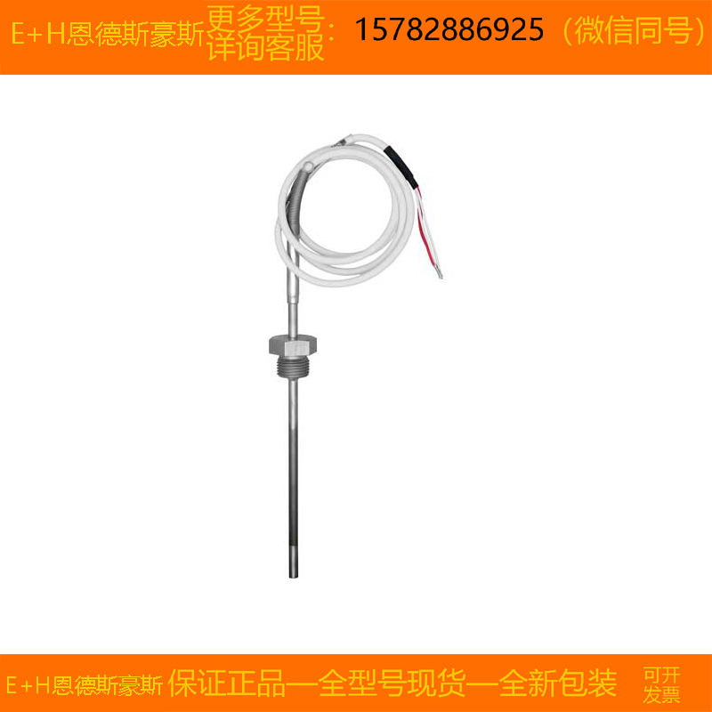 【现货】E+H/恩德斯豪斯 XPD0031-1009/0=XPD0031-AA0F00原装正品
