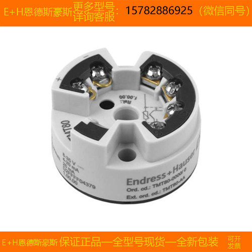 【现货】E+H/恩德斯豪斯 TMT80-1014/0=TMT80-AA 全新 原装 正品