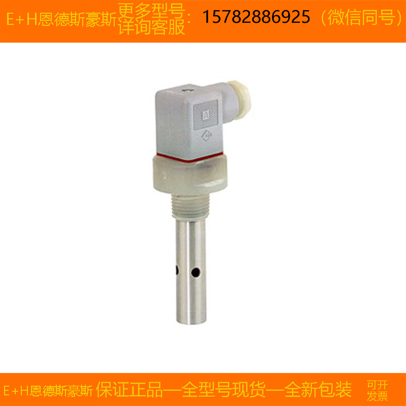 【现货】E+H/恩德斯豪斯 CLS19-B1A1A 进口 全新 原装 正品