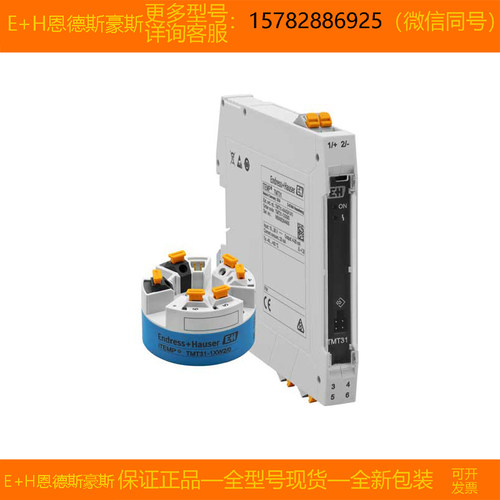 【现货】E+H/恩德斯豪斯 TMT71-1186/142=TMT71-AAA1AABA1+B3C1