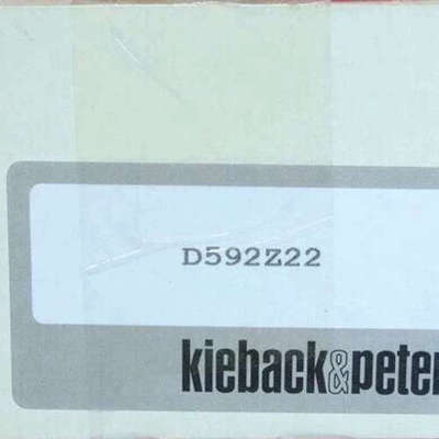 Kieback Peter D592Z22 科特贝德压力议价