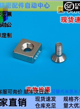 NHXCS/NHXCSH8/10/12/15/20/25-2/3/4/4.5/5/6磁铁平头螺栓止动型