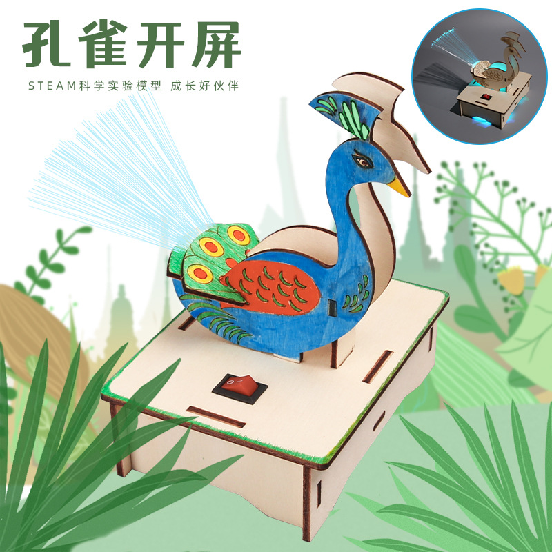 科技小制作小发明手工diy孔雀开屏模型科学实验中小学手工材料包