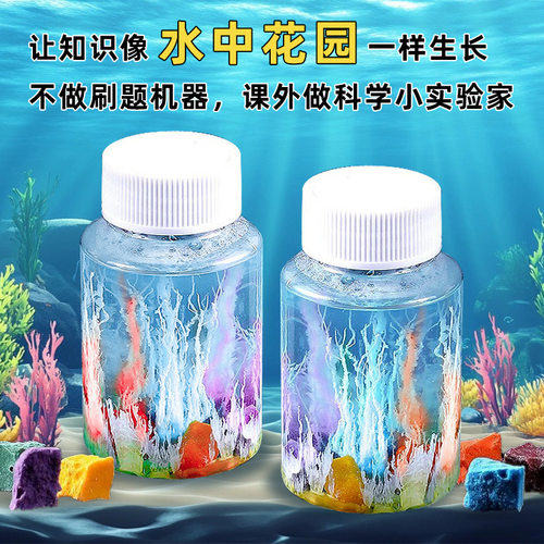 水中花园魔术石头科技小制作stem实验教育实验材料包幼儿园