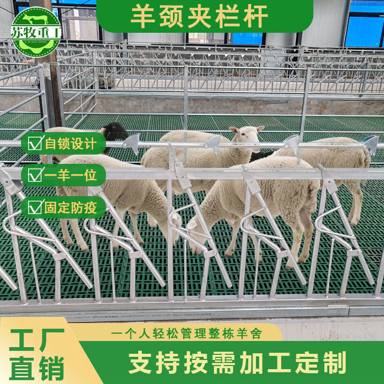 苏牧重工畜牧养殖设备羊颈夹 热镀锌材质一羊一位多种规格,畜牧/养殖物资,肥料/饲料/屠宰加工设备,淘宝优惠券,粉丝福利购,淘宝优惠卷