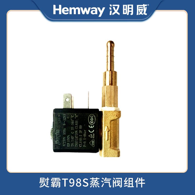 熨霸厂家直销T98S/H801服装蒸汽电锅炉熨斗配件蒸汽阀组件