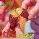 天津红瑶薯干红薯干地瓜干无添加软糯0脂肪无加糖鲜蒸倒蒸