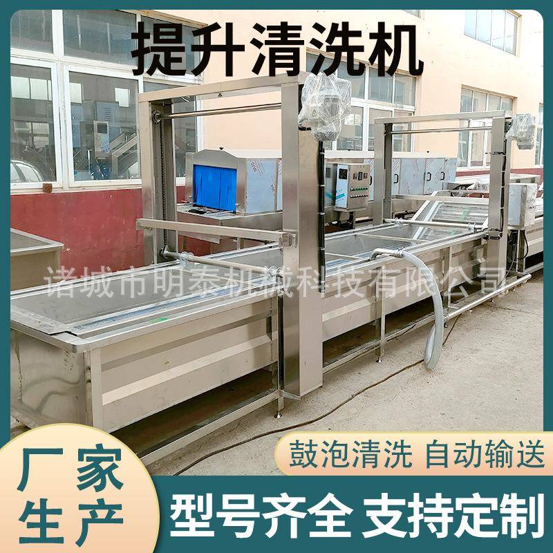 西蓝花果蔬气泡清洗机蕨菜荠菜大型清洗风干线鱿鱼大虾清洗设备