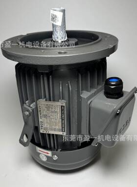 电机/马达TEGH100L1-4AEVF2NNPE2.2W3HP4P立式
