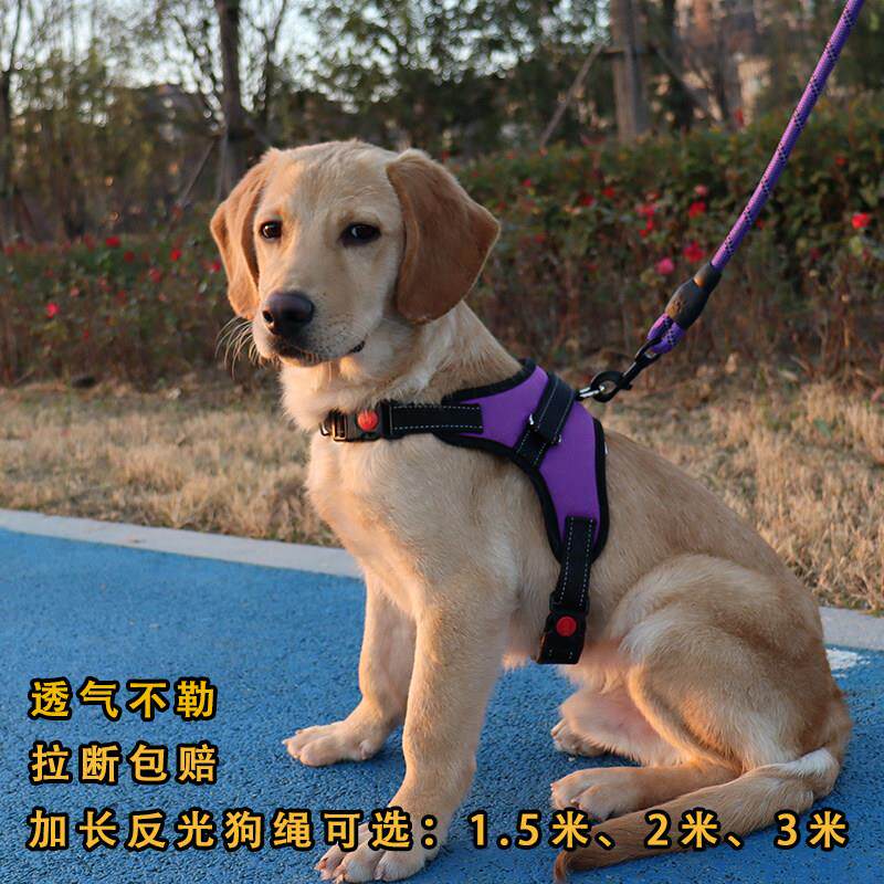 发光牵引绳小型犬泰迪2米3米加长柯基荧光狗绳伸缩胸背田园犬狗链