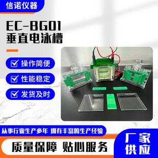 EC-BG01-垂直电泳槽通用电泳仪电源迷你垂直电泳仪玻璃