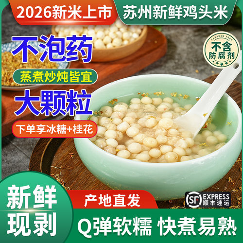 苏州鸡头米新鲜中大颗粒鲜芡实