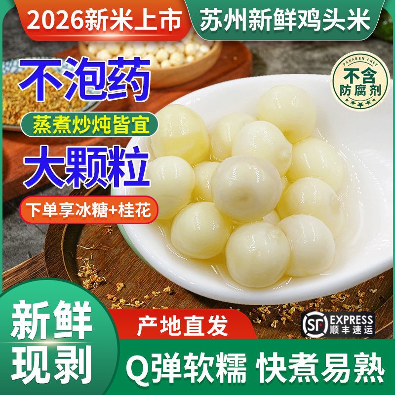 苏州鸡头米新鲜中大颗粒鲜芡实图片