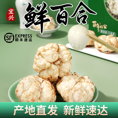 正宗新鲜特级宜兴大百合