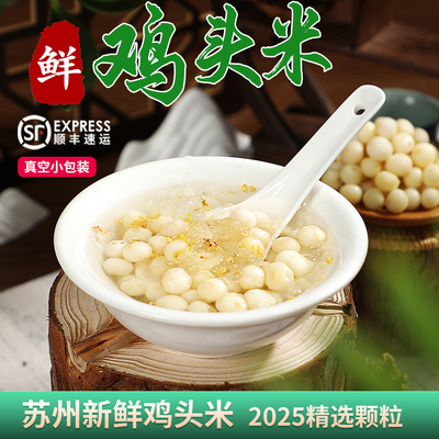 苏州鸡头米新鲜2025大颗粒鲜芡实