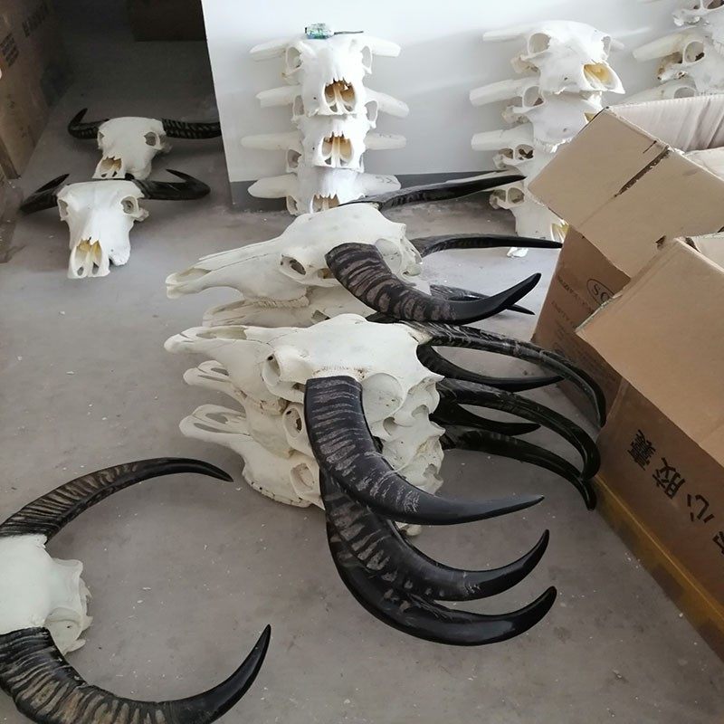 天然真水牛头骨挂件招财纳宝装饰店铺开业办公室风景区墙壁装饰品