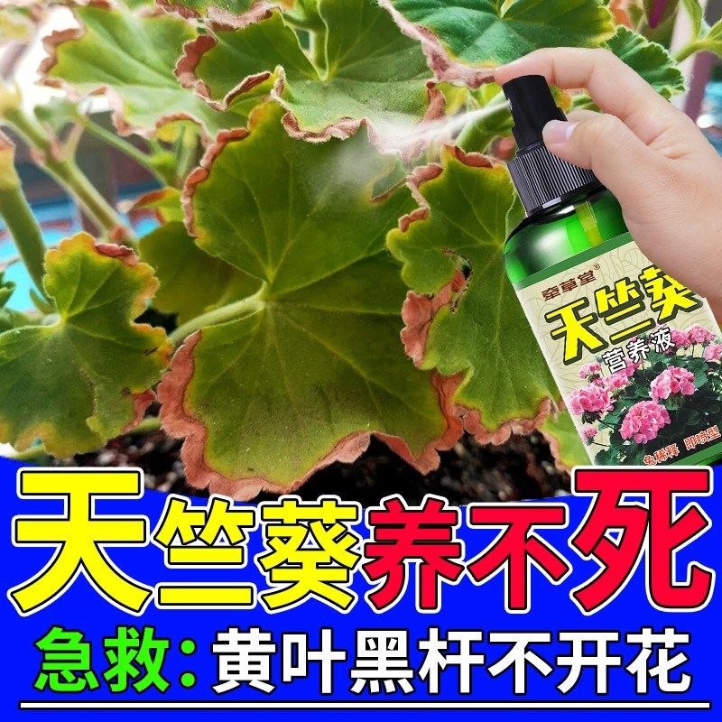 天竺葵肥料专用肥防黄叶根部腐烂营养液促开花植物花卉通用液体肥