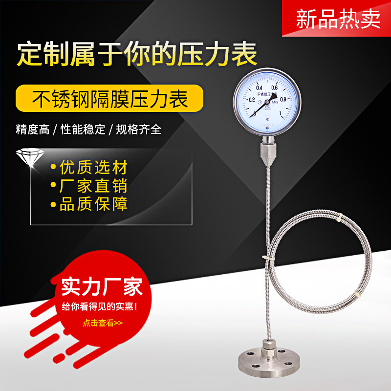 不锈钢隔膜压力表 法兰软管延长连接 耐高温耐腐蚀 DN25毛细软管