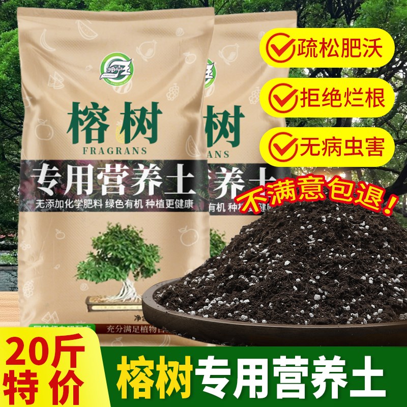 榕树专用营养土榕树肥料通用种植老桩榕树土盆景疏松透气有机土壤