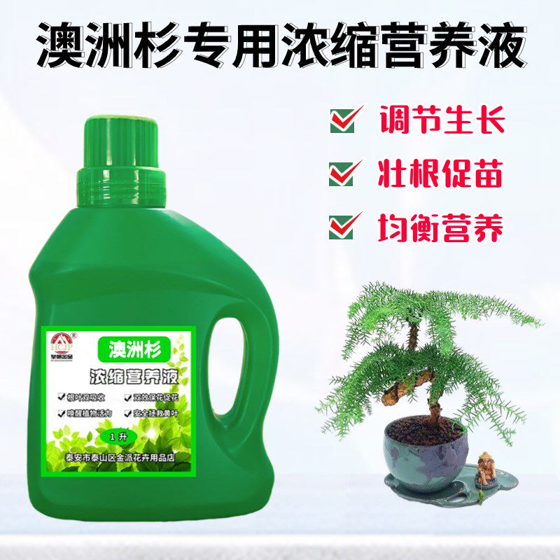 澳洲杉专用浓缩营养液体家用盆栽绿植物黄叶促生长水培水溶花肥料