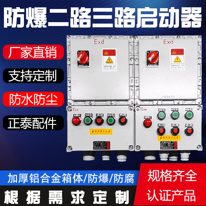 防爆磁力启动器两路风机控制箱二组水泵启停一控二三相检修箱380V