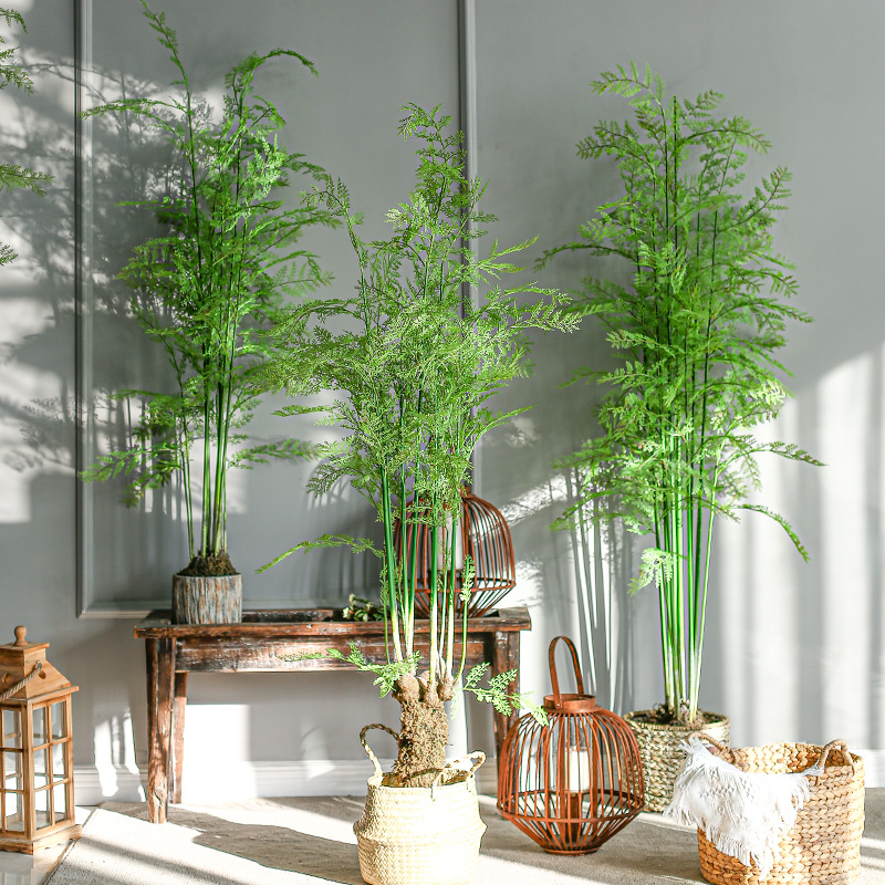 七茉 仿真文昌竹大型氧气蕨类植物绿植盆景假树室内装饰摆件落地