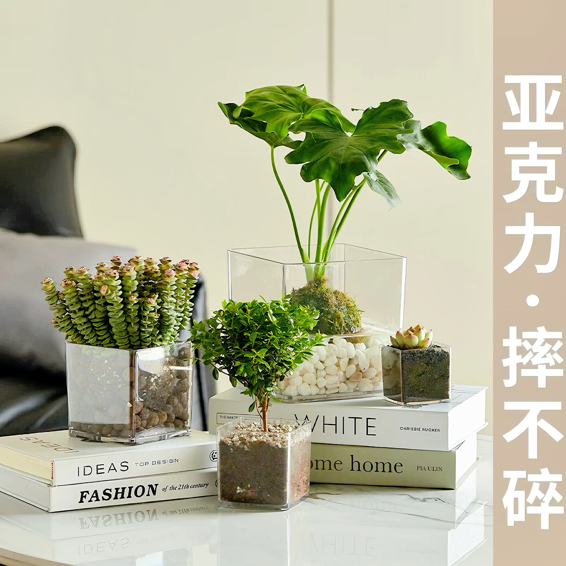 桌面水培植物器皿亚克力