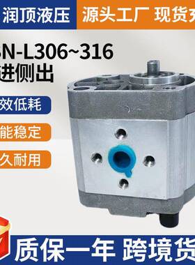 L泵中州泵液压齿轮高压油泵CBN-F306/316后侧进出平键螺纹菱形件