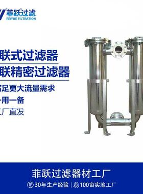 不锈钢双联过滤器串联液体过滤器双筒并联过滤器污水处理过滤器
