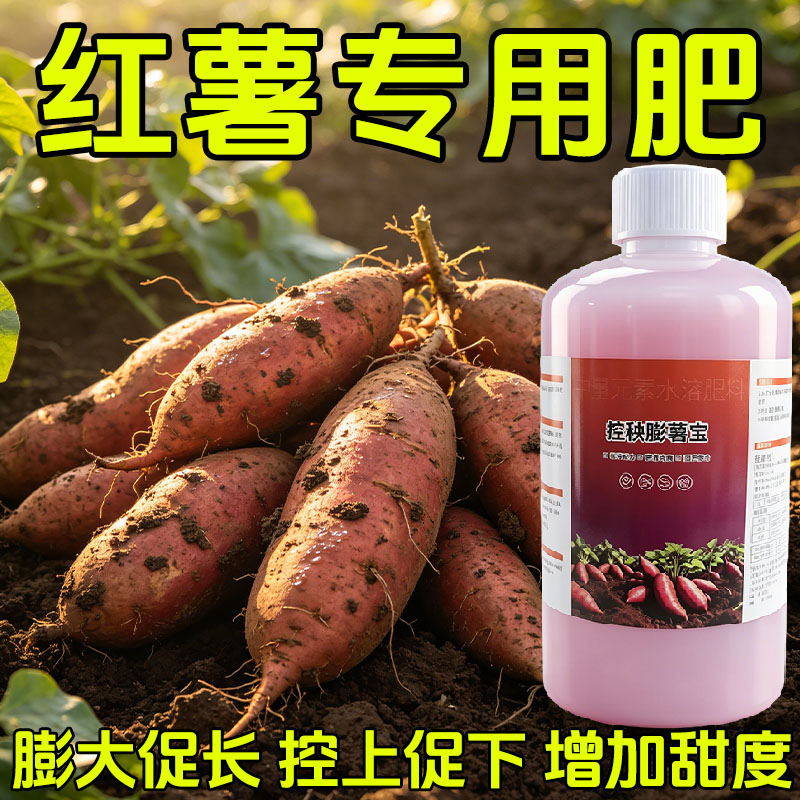 红薯专用控旺膨薯叶面肥