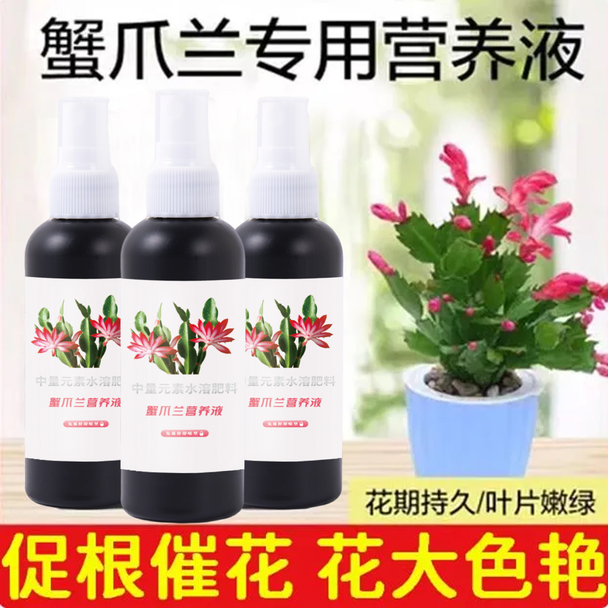 蟹爪兰专用肥料营养液四季开花