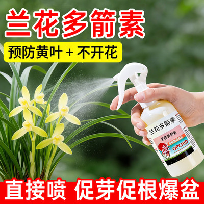 兰花多箭素促花箭猛增花开爆盆