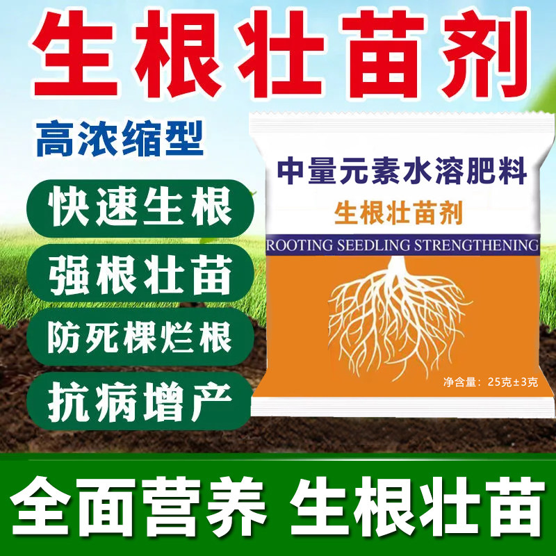 生根王快速生根剂爆根壮苗剂